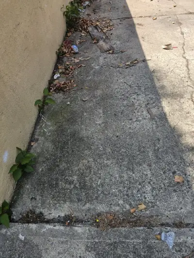 Dependable Pressure Washing Services