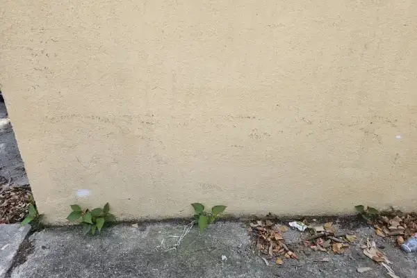 Patio's Cleaning Other Services