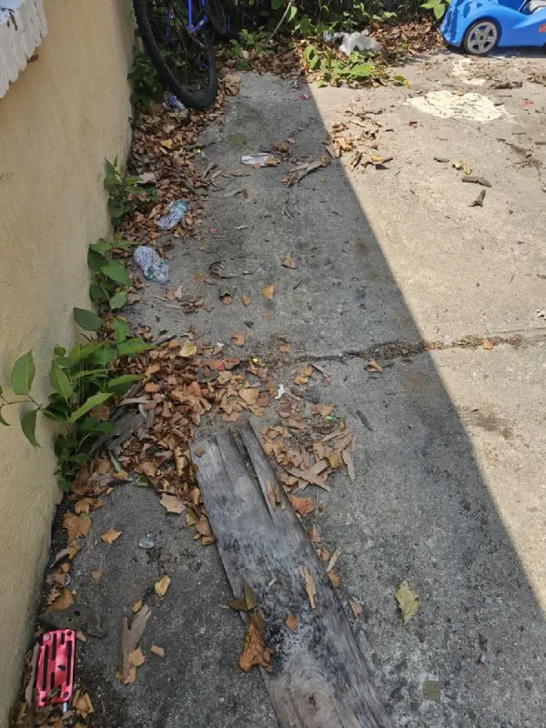 Professional Pressure Washing Services