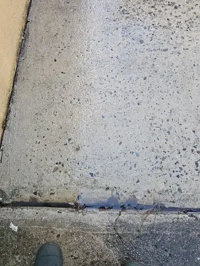 Trusted Pressure Washing Services
